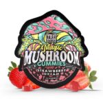 trehouse-photo-render-mushroom-gummies-strawberry-dream-fp-jul-26-2023-1-636x636 (1)