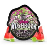 trehouse-photo-render-mushroom-gummies-watermelon-wonder-fp-jul-26-2023-2-636x636
